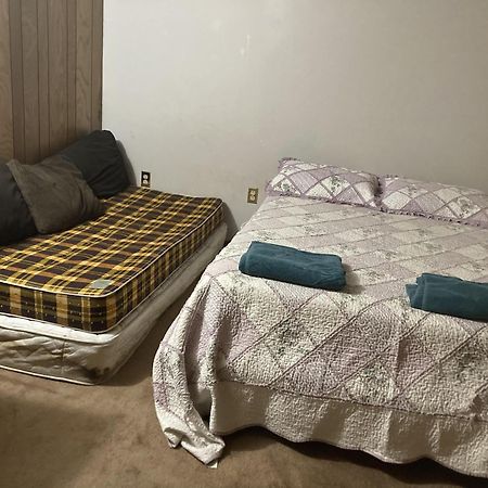 Cozy Apartment With A Spacious Backyard In The Ravine Торонто Экстерьер фото